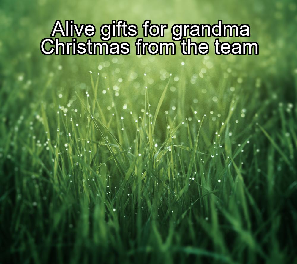 alive-gifts-for-grandma-christmas-from-the-team-1737447717-1