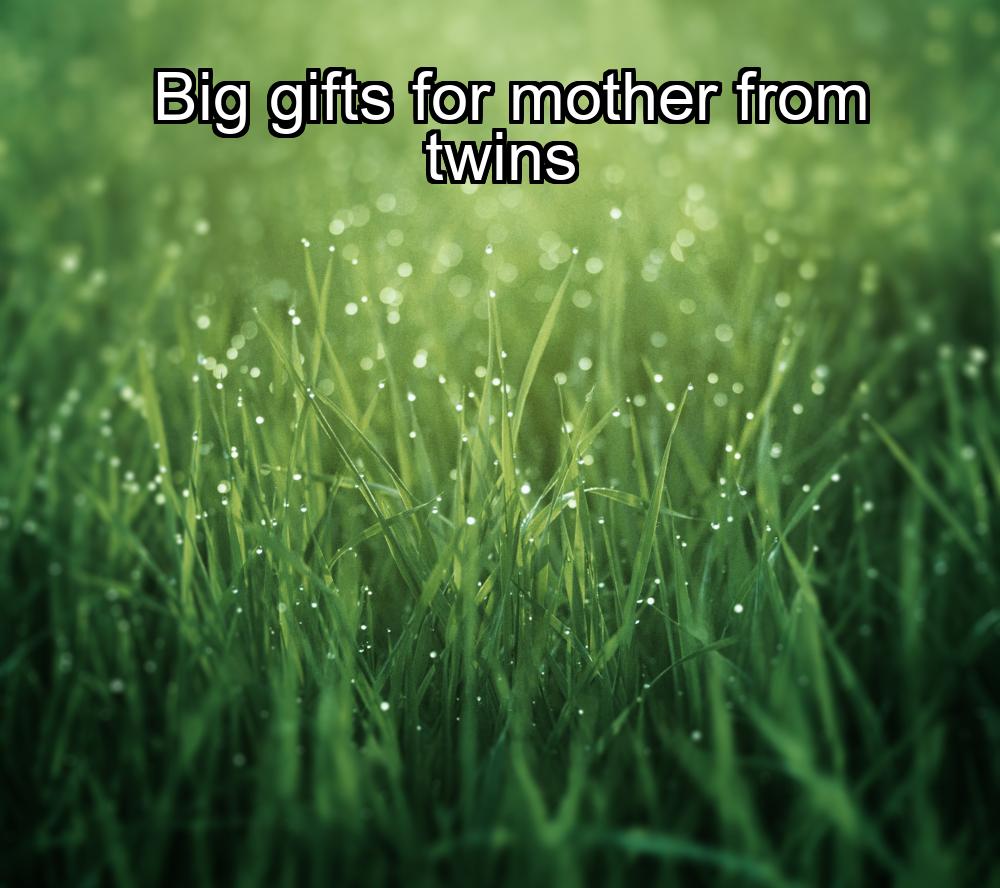 big-gifts-for-mother-from-twins-1737401100-1