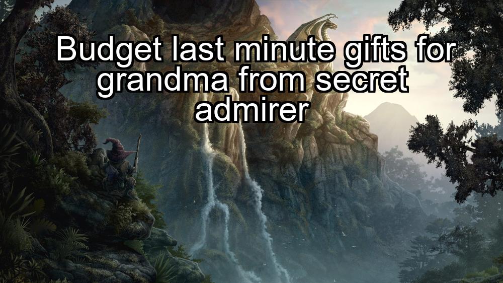 budget-last-minute-gifts-for-grandma-from-secret-admirer-1737363944-1