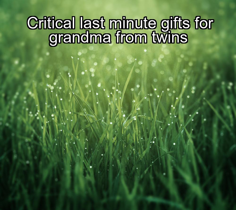 critical-last-minute-gifts-for-grandma-from-twins-1737349268-1