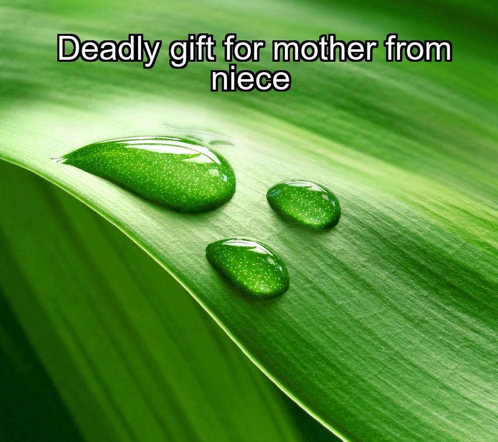 deadly-gift-for-mother-from-niece-1737443716-1