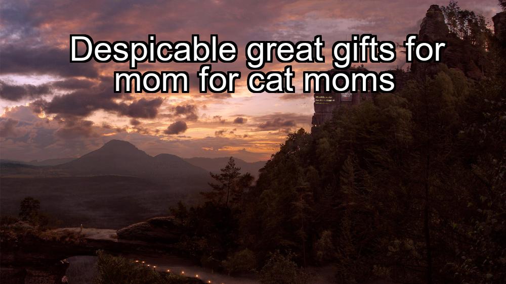 despicable-great-gifts-for-mom-for-cat-moms-1737331931-1