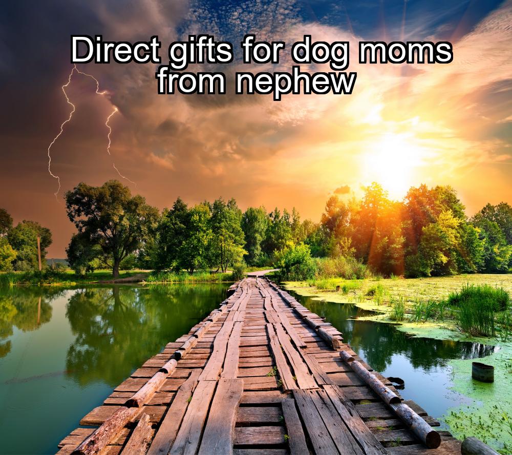 direct-gifts-for-dog-moms-from-nephew-1737483482-1