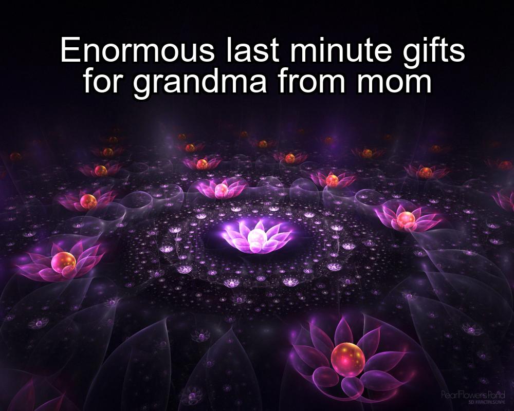 enormous-last-minute-gifts-for-grandma-from-mom-1737441951-1