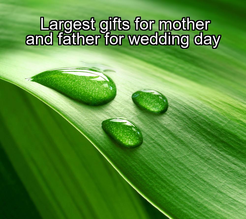 largest-gifts-for-mother-and-father-for-wedding-day-1737347891-1