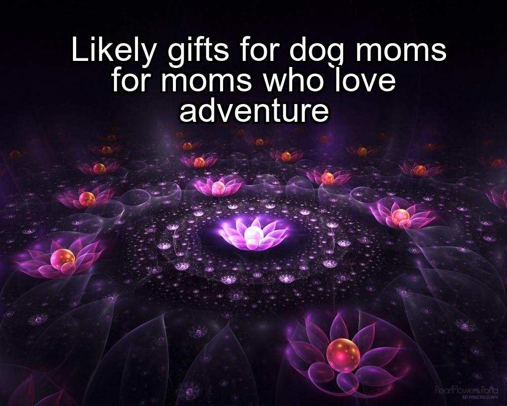 likely-gifts-for-dog-moms-for-moms-who-love-adventure-1737351927-1