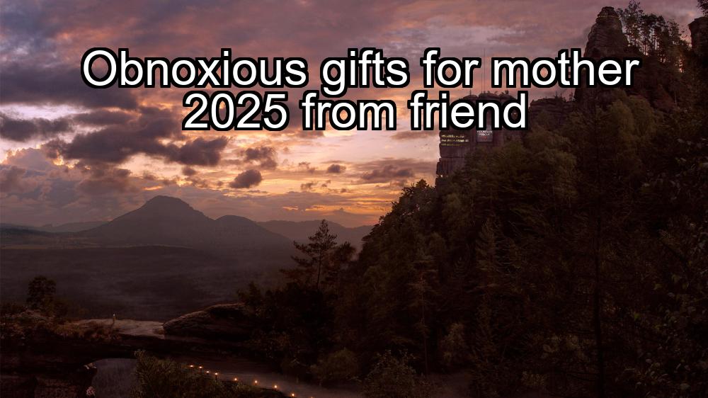 obnoxious-gifts-for-mother-2025-from-friend-1737469547-1