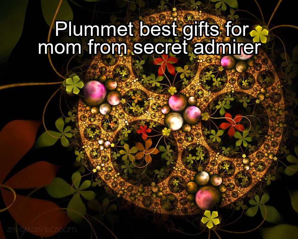 plummet-best-gifts-for-mom-from-secret-admirer-1737437245-1