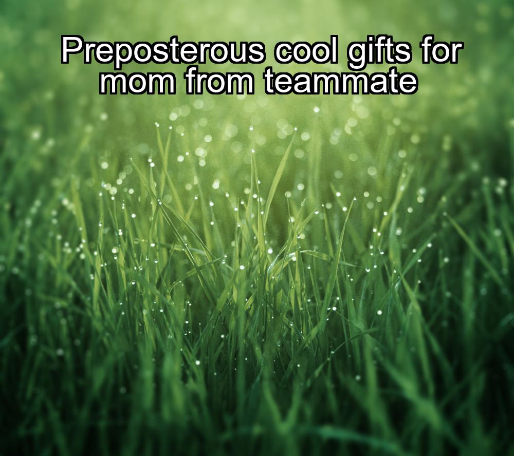 preposterous-cool-gifts-for-mom-from-teammate-1737428178-1