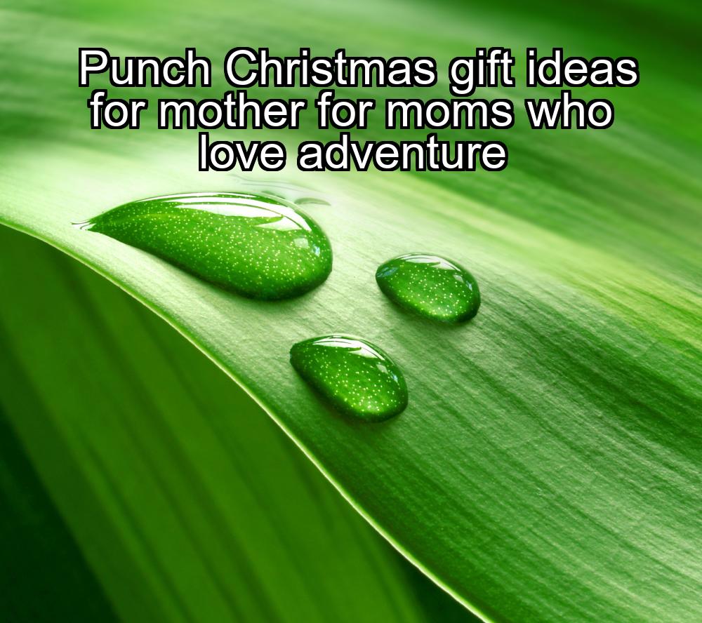 punch-christmas-gift-ideas-for-mother-for-moms-who-love-adventure-1737387617-1