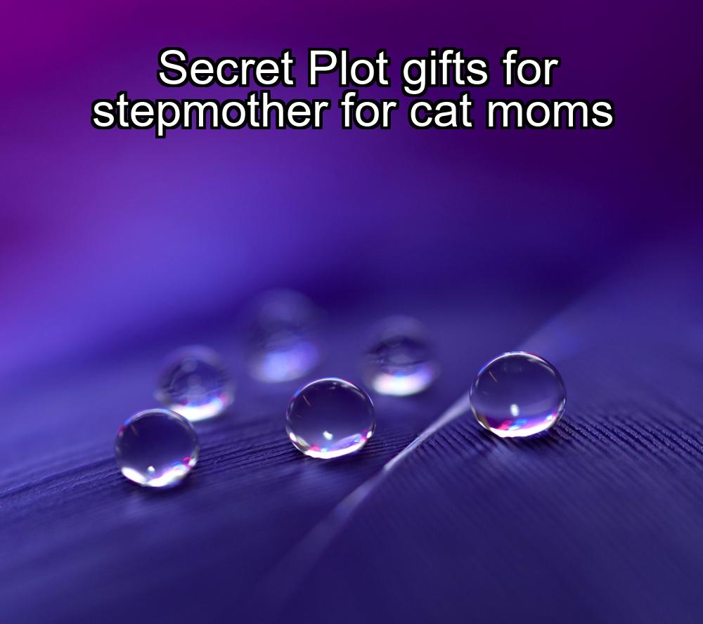 secret-plot-gifts-for-stepmother-for-cat-moms-1737344443-1