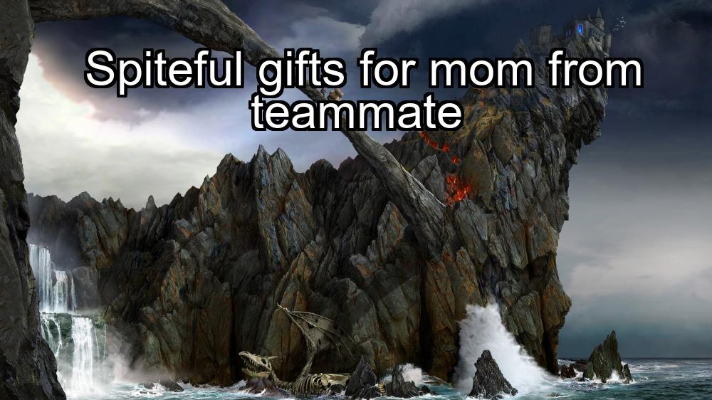 spiteful-gifts-for-mom-from-teammate-1737444754-1