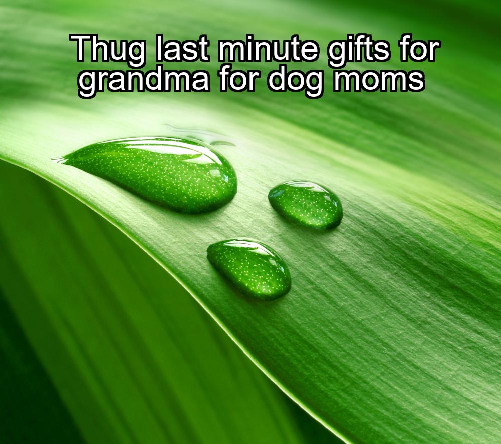 thug-last-minute-gifts-for-grandma-for-dog-moms-1737380792-1