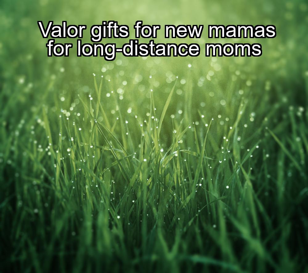 valor-gifts-for-new-mamas-for-long-distance-moms-1737353813-1